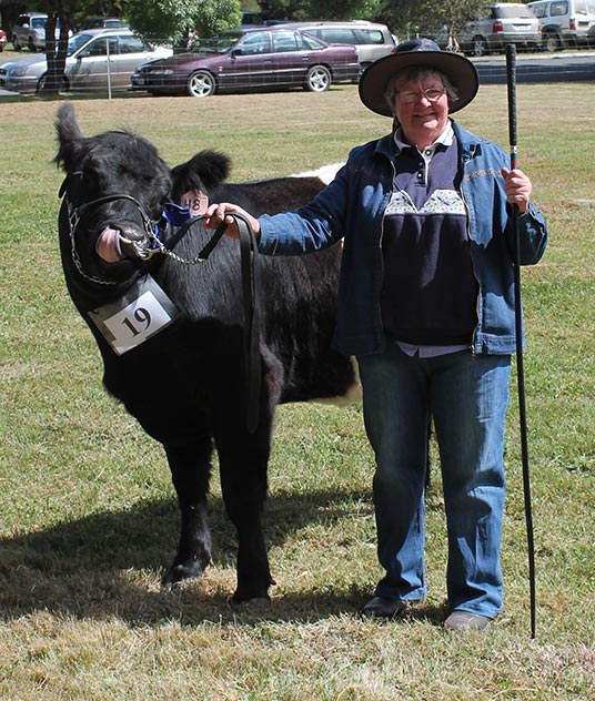 Lorna-Andrews-from-Buangor-got-first-place-in-the-Female-22-28-months-Belted-Galloway..jpg