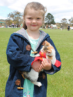 Annie-Kehoe-won-second-place-with-her-kitten-Holly-for-the-smallest-pet.jpg