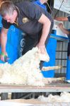 Brian_Waldron_competes_in_the_Blade_Shearing_Event.jpg