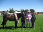 Daniel_Taylor_Ararat_holding_Myscal_Magnum_with_judges_Sally_Miller_Toolern_Vale_and_Nancy__Miller_Dunkeld.jpg