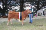 Eleanor_Stewart_from_Shalone_Limosen_Stud_won_Grand_Champion_Bull_and_Supreme_Champion_in_the_Cattle_Competition.jpg