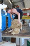 Brett_Caldwell_competing_in_the_Senior_Shearing_Event.jpg